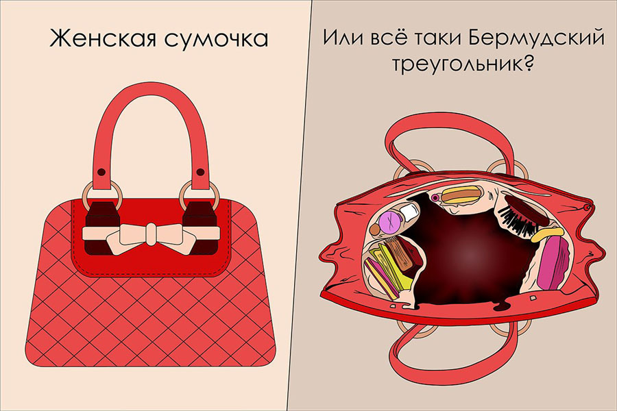 Прикольные картинки с сумочками, креативные картинки
