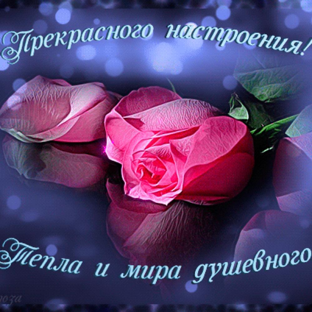 Открытки с повседневными пожеланиями