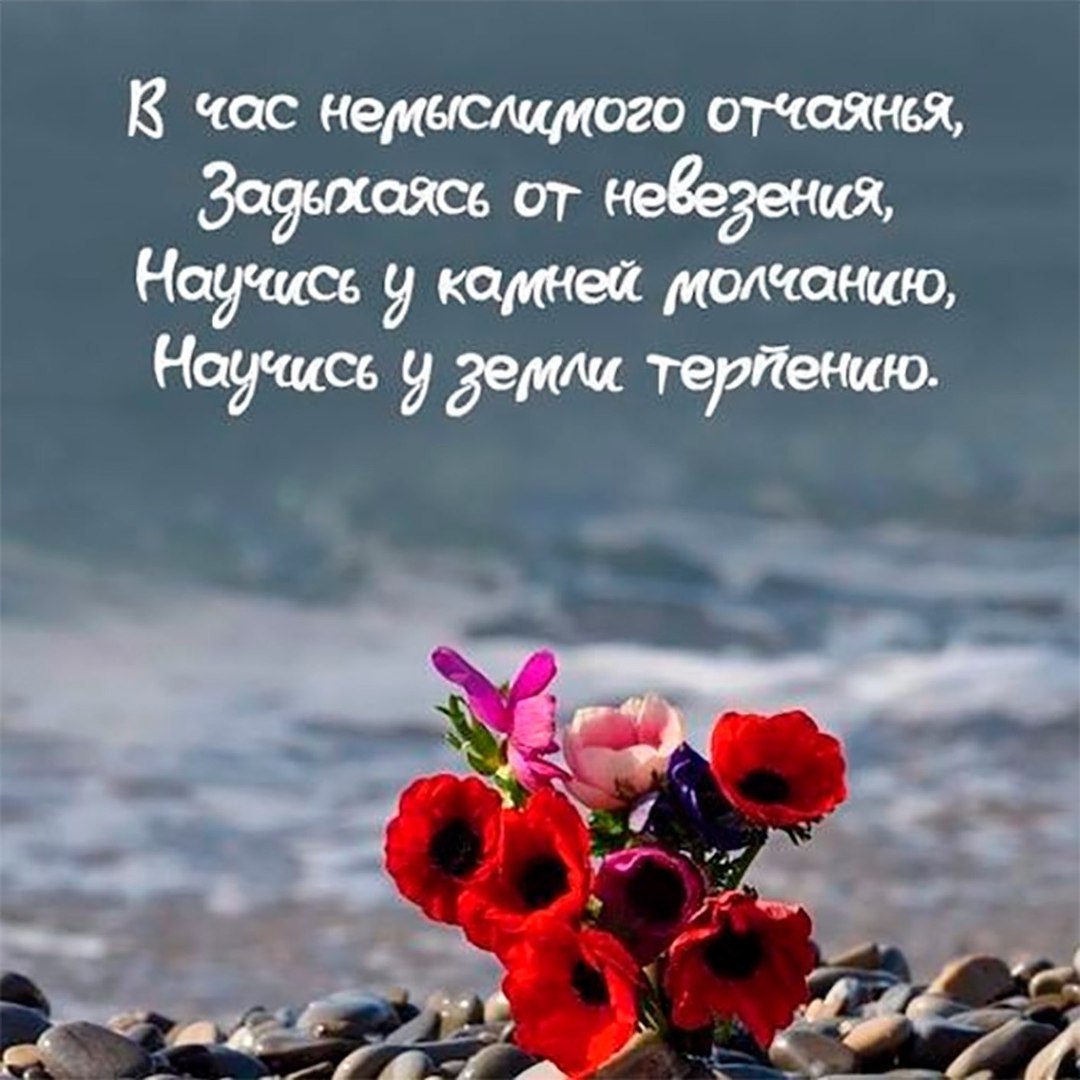 Картинки малиной, открытки силы духа