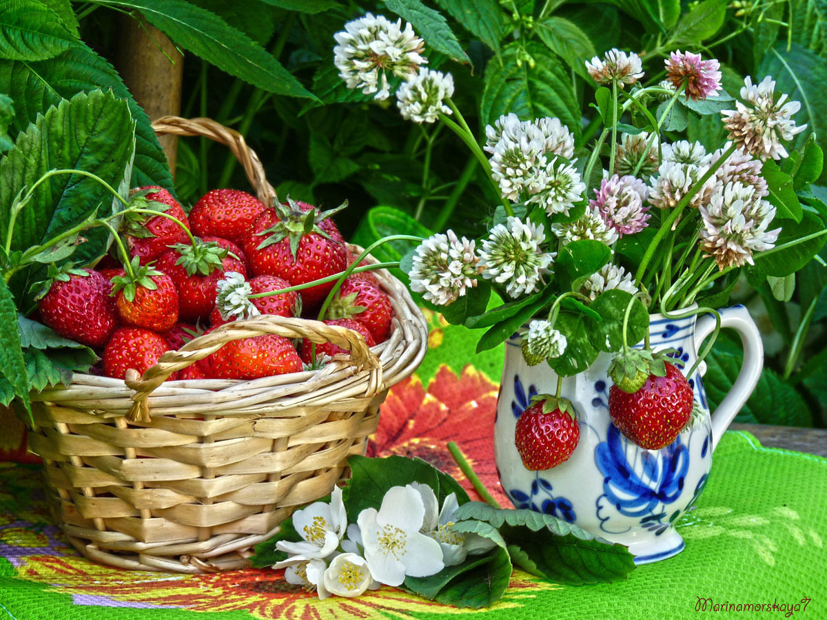 Флеш открытки с летом, картинки пушистики спасибо