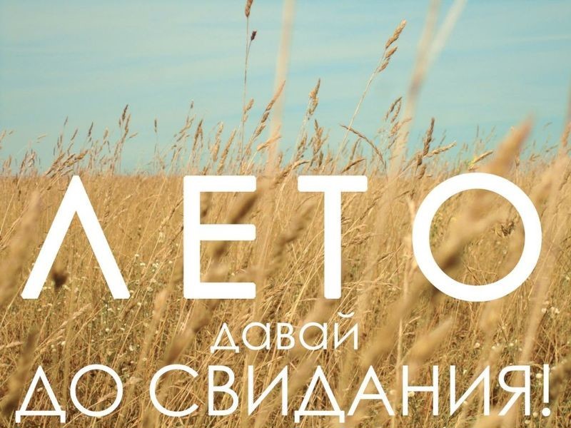 Вот и август картинки смешные, днем рождения