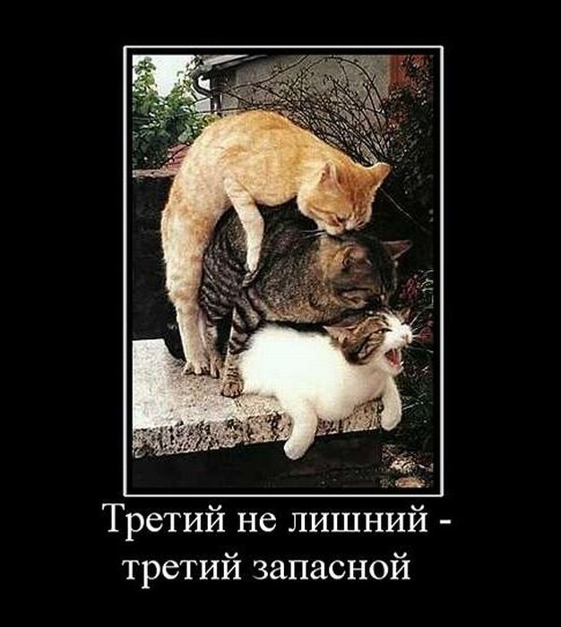 Прикол военкомат, третий не лишний прикольные картинки