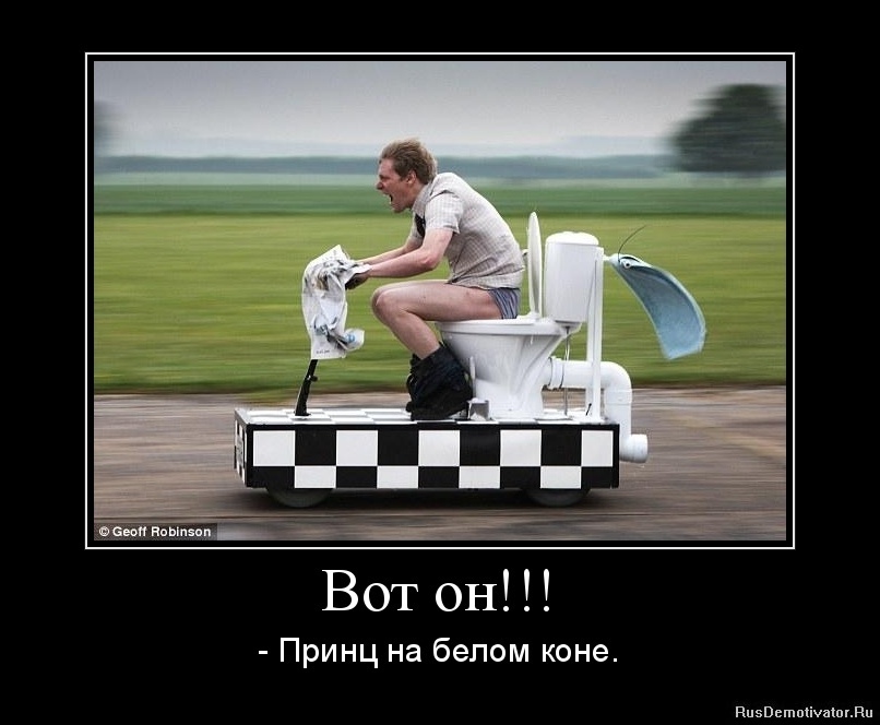 Прикольные картинки про принцев на белом коне