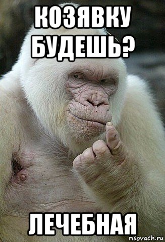 Смешные картинки козявка