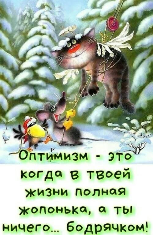 Картинки папе, оптимист картинки с надписями об оптимизме