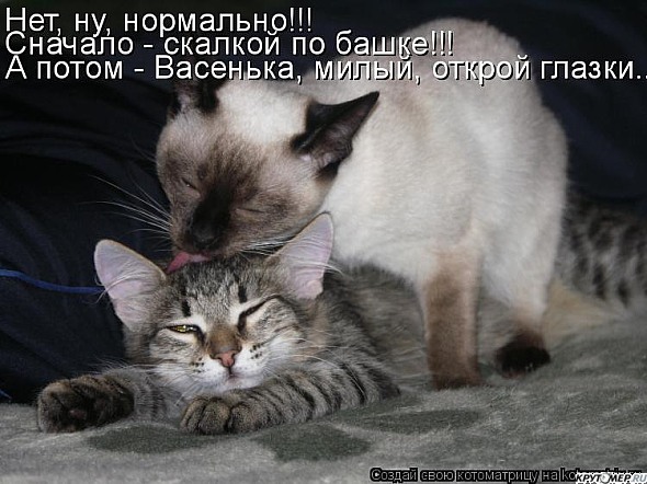 Открытки давно тебя не видела