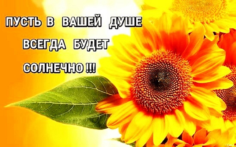 День старшего, картинки солнца и тепла вашей душе