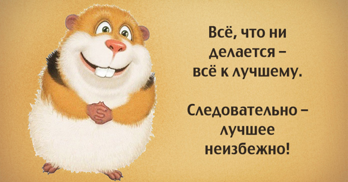 Картинка для хорошего настроения прикольные