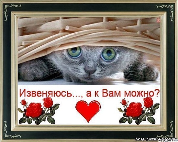 Я хочу к тебе в гости открытка