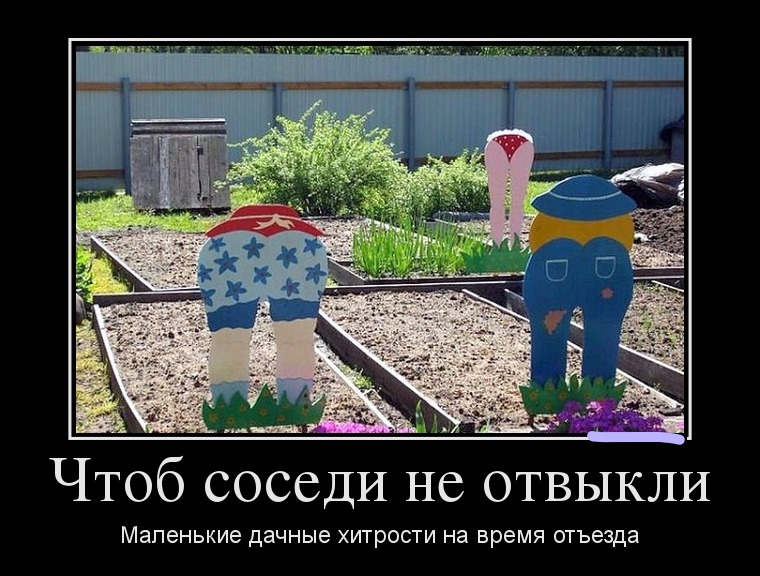 Смешные картинки с дачи