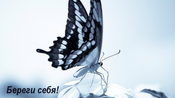 Гифы береги себя для меня, открытка днем рождения