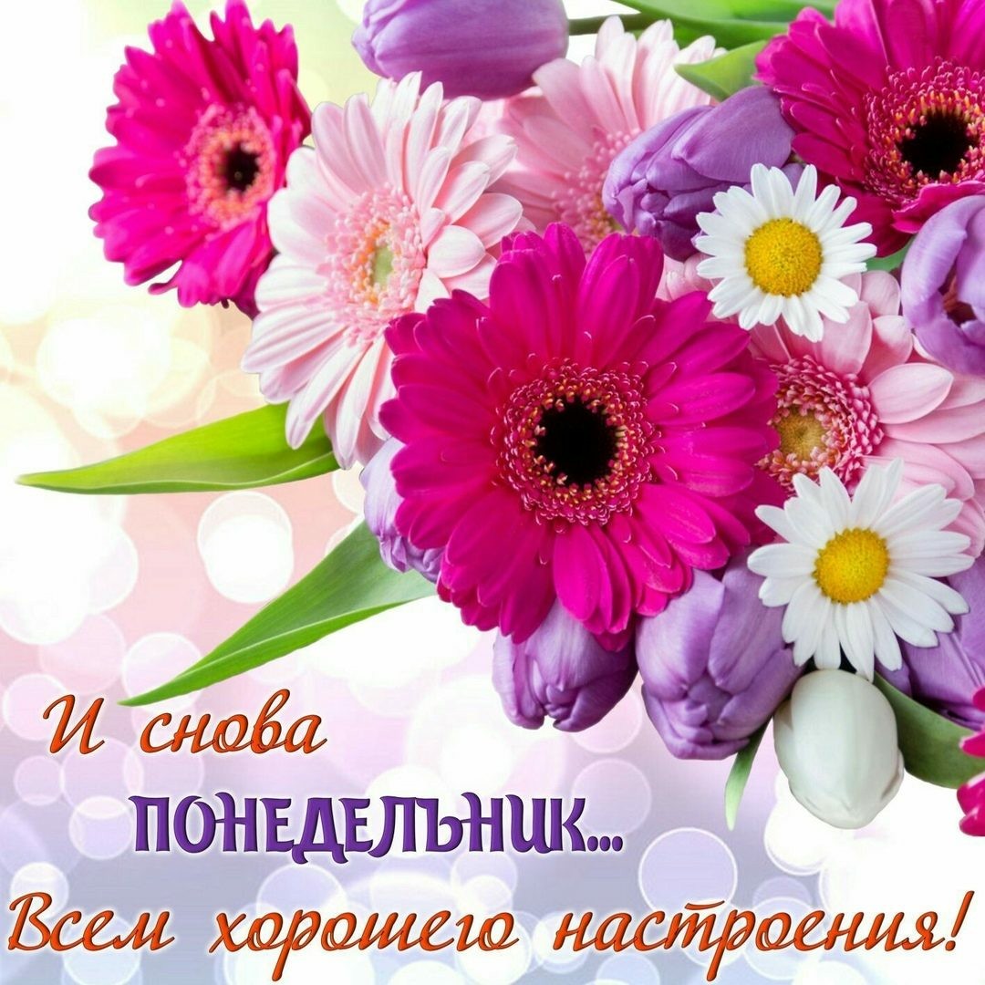 С добрым утром с понедельником картинки красивые, картинки пасхой бантик