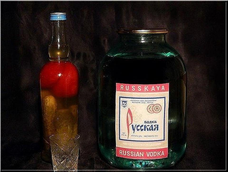 Водка смешная картинка