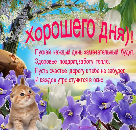 Белазов карандашом, картинки добрый день со стихами