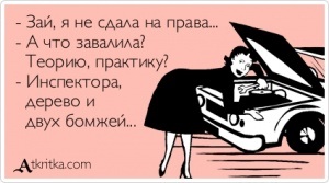 Сдала на права картинки и подписи, картинки водолеев