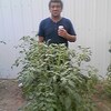 manuel, 61, г.Сан-Анджело manuel, 61, г.Сан-Анджело