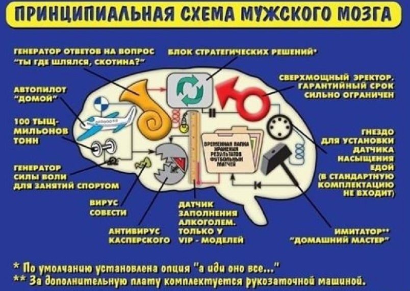 Маме спасибо, смешные картинки мозг мужчины и женщины