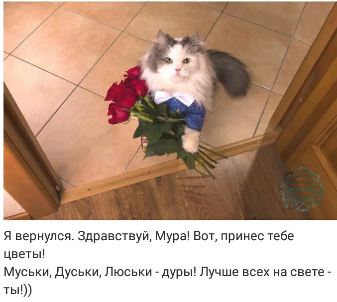 картинки я вернулся здравствуй мура выделяются своей