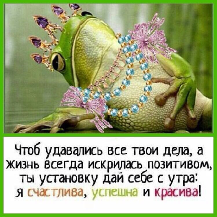 Картинки доброе утро смешные с надписями про женщин