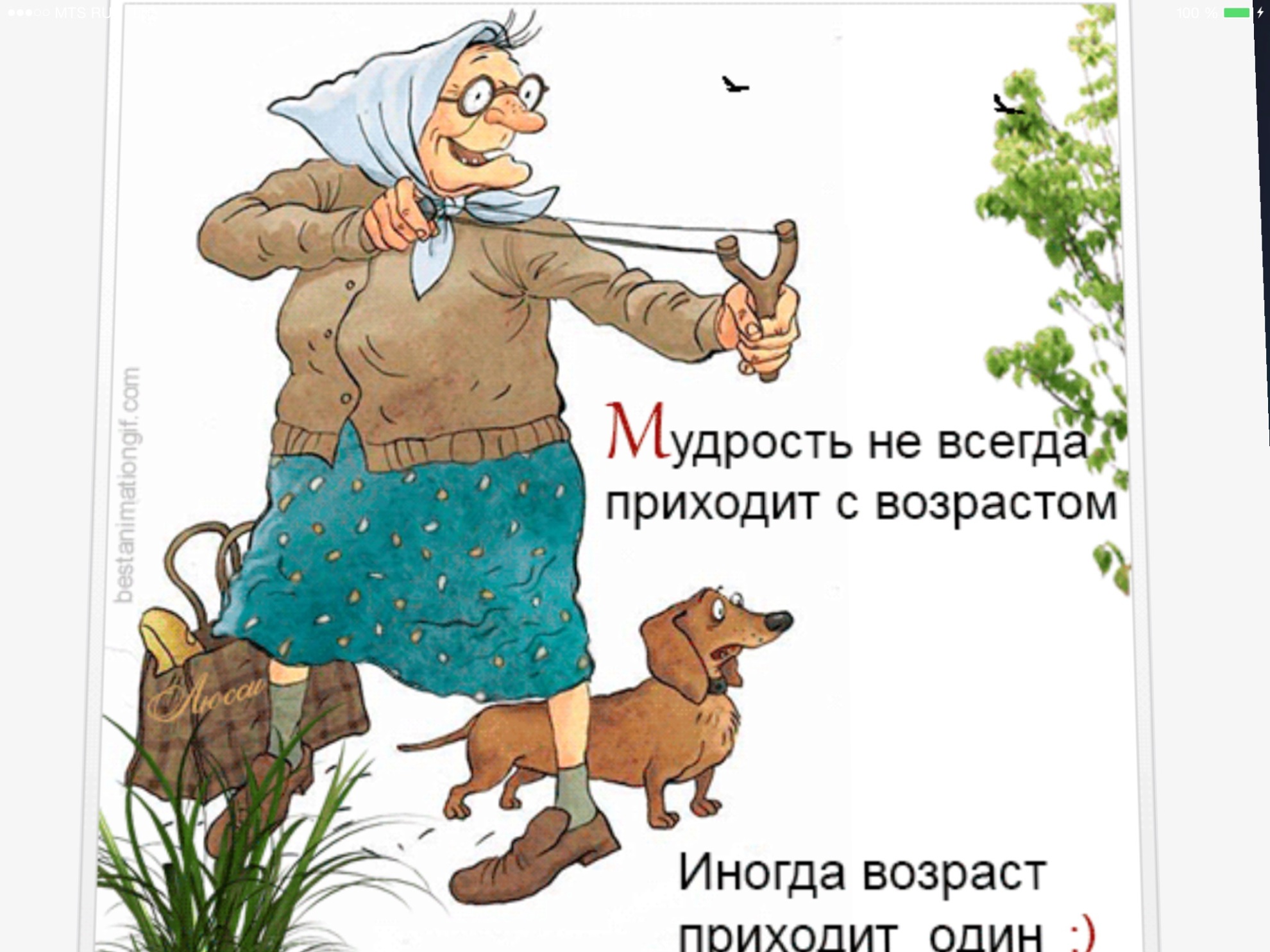 Картинка с днем пожилого человека с юмором